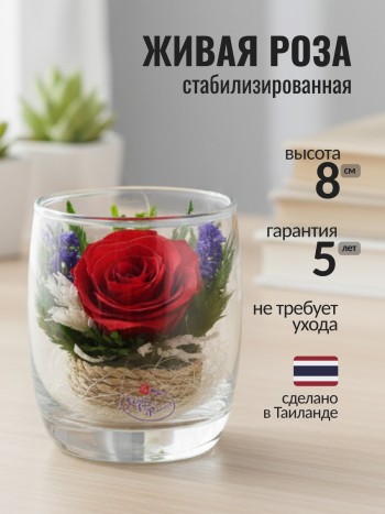 Красная роза в стекле (8 x 7 x 7 см)