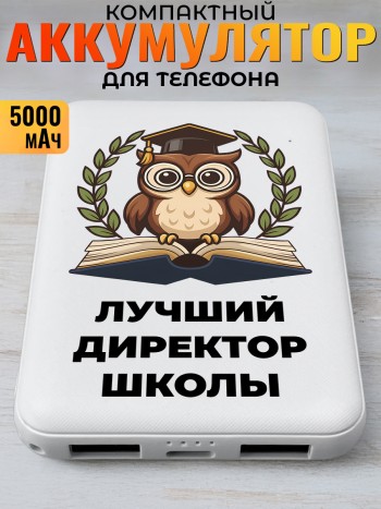 Повербанк "Лучший директор школы"