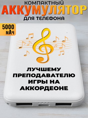 Повербанк "Лучшему преподавателю игры на аккордеоне" Музыканту