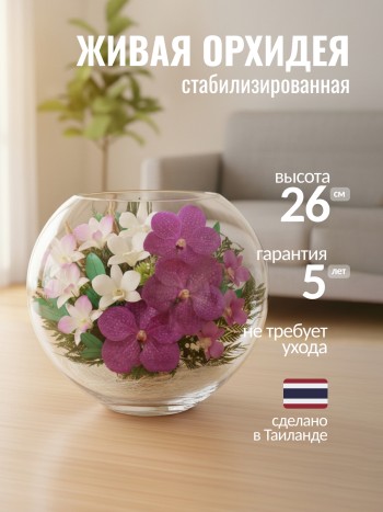 Композиция из натуральных орхидей в стекле (30 х 26 х 11 см)