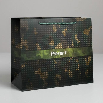 Подарочный пакет "Камуфляжный презент" (27 х 23 х 11,5 см)